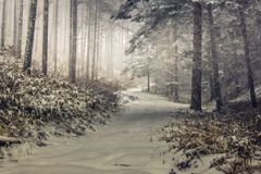 かえり雪
