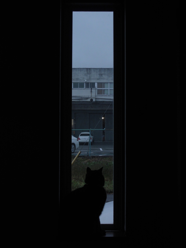 窓の外の世界
