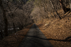 春の前の静けさ