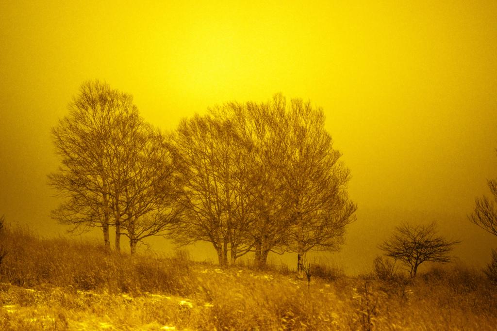 オレンジ色の時間