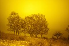 オレンジ色の時間