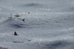 雪の