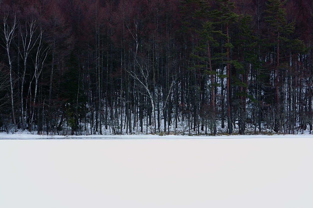 雪の御射鹿池