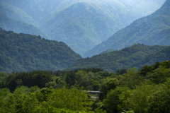 山
