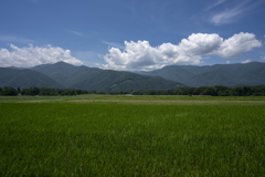 初夏