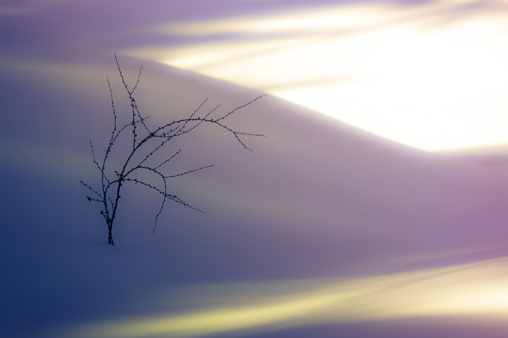 雪影