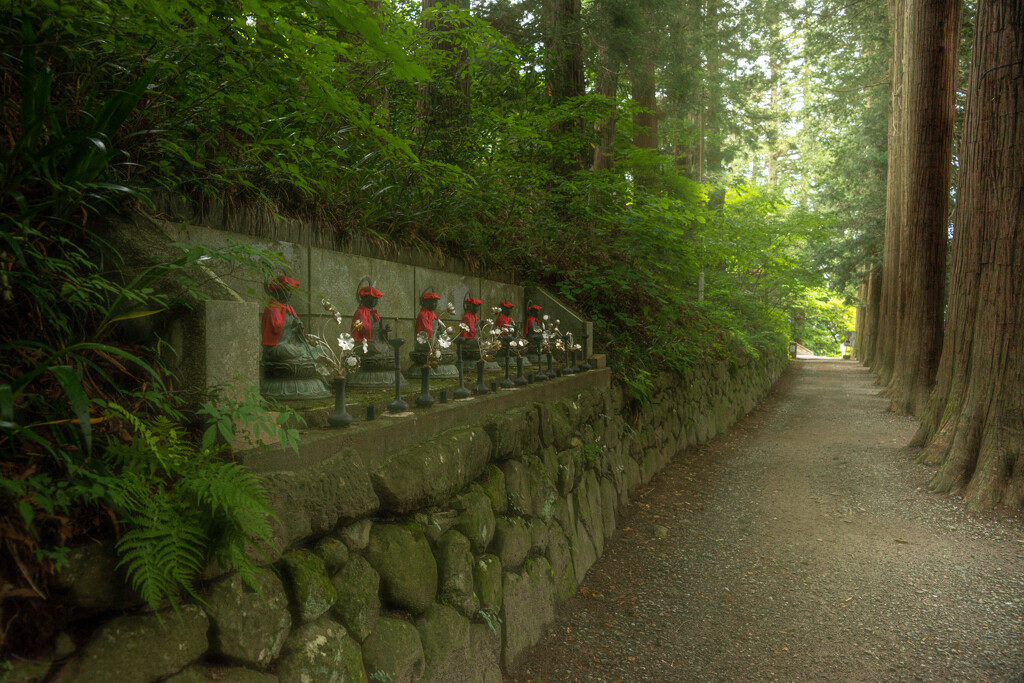 歳をとると写したくなってくるもの