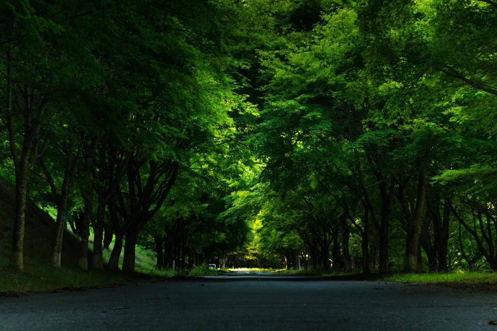 少しだけ秋めいて