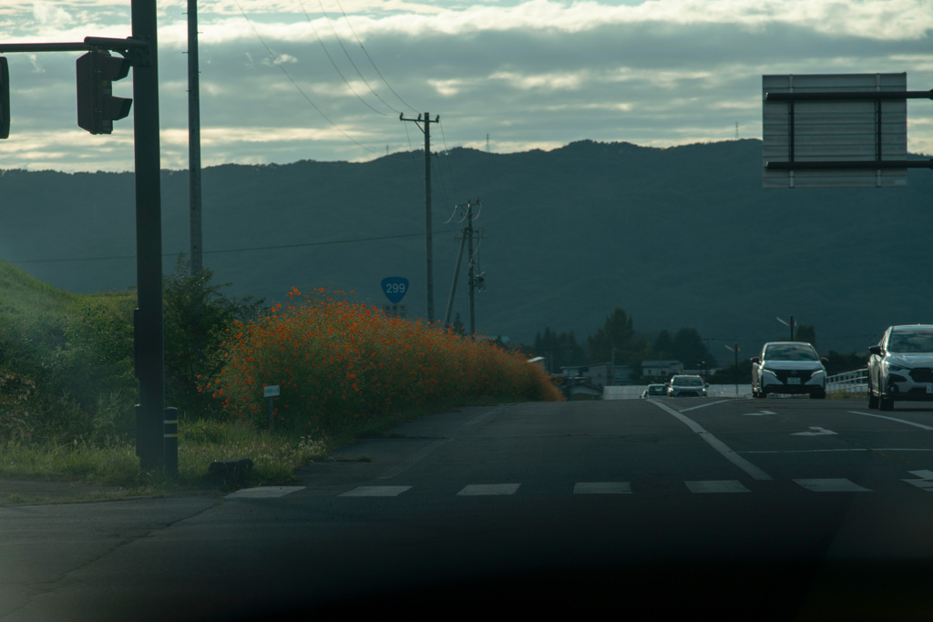 帰り道