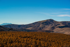 山