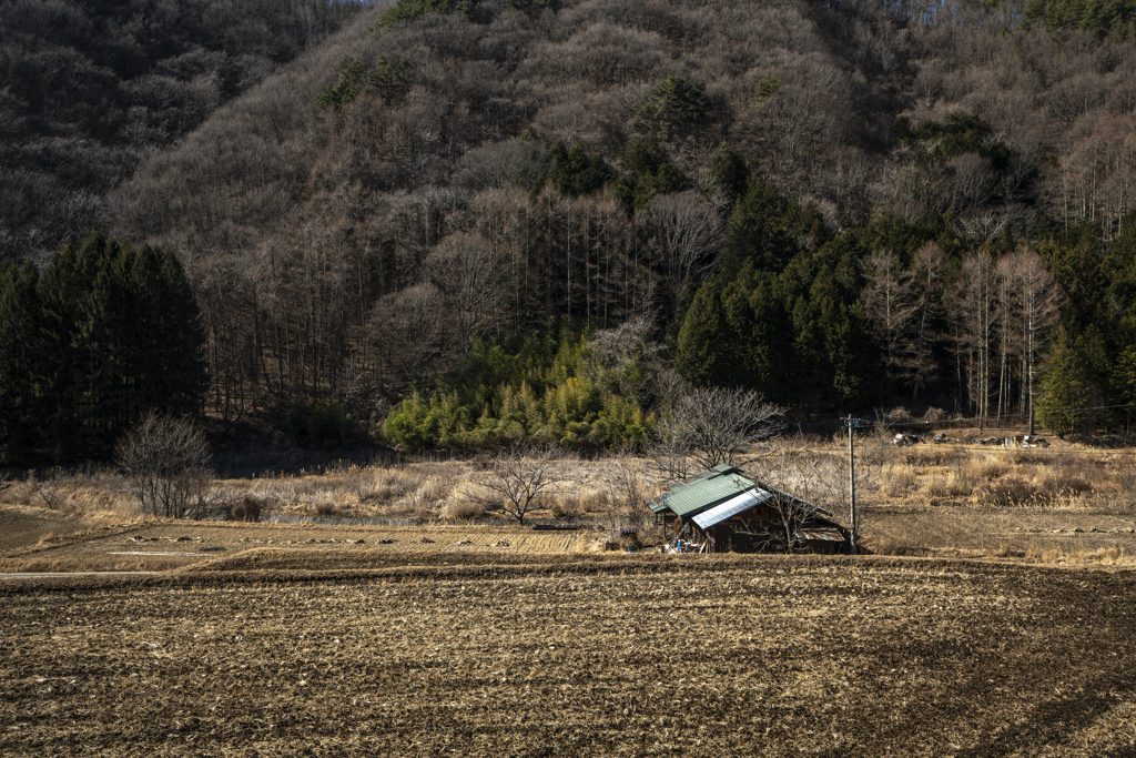 田舎