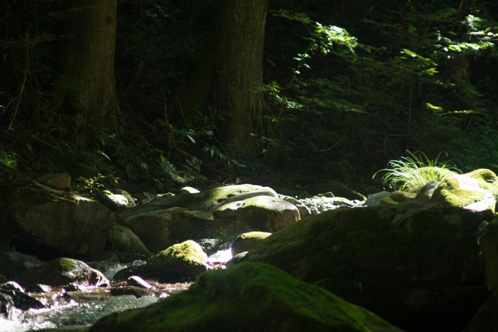 飛沫
