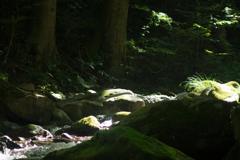 飛沫