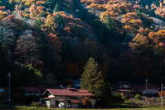 山裾の家B