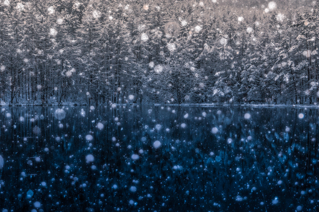 雪に沈む