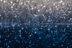 雪に沈む