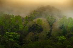 山の霧