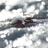氷の世界