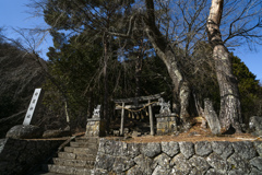 大木と鳥居