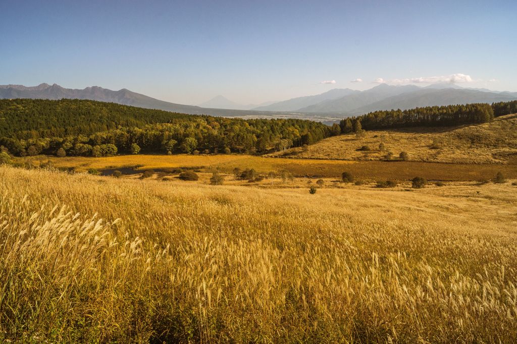 遠くに薄っすらと富士が見える