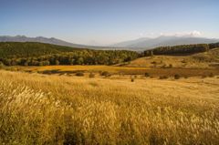 遠くに薄っすらと富士が見える
