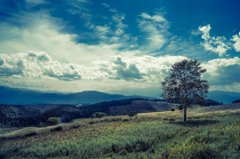 雲