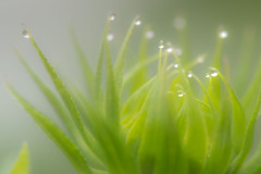 水滴