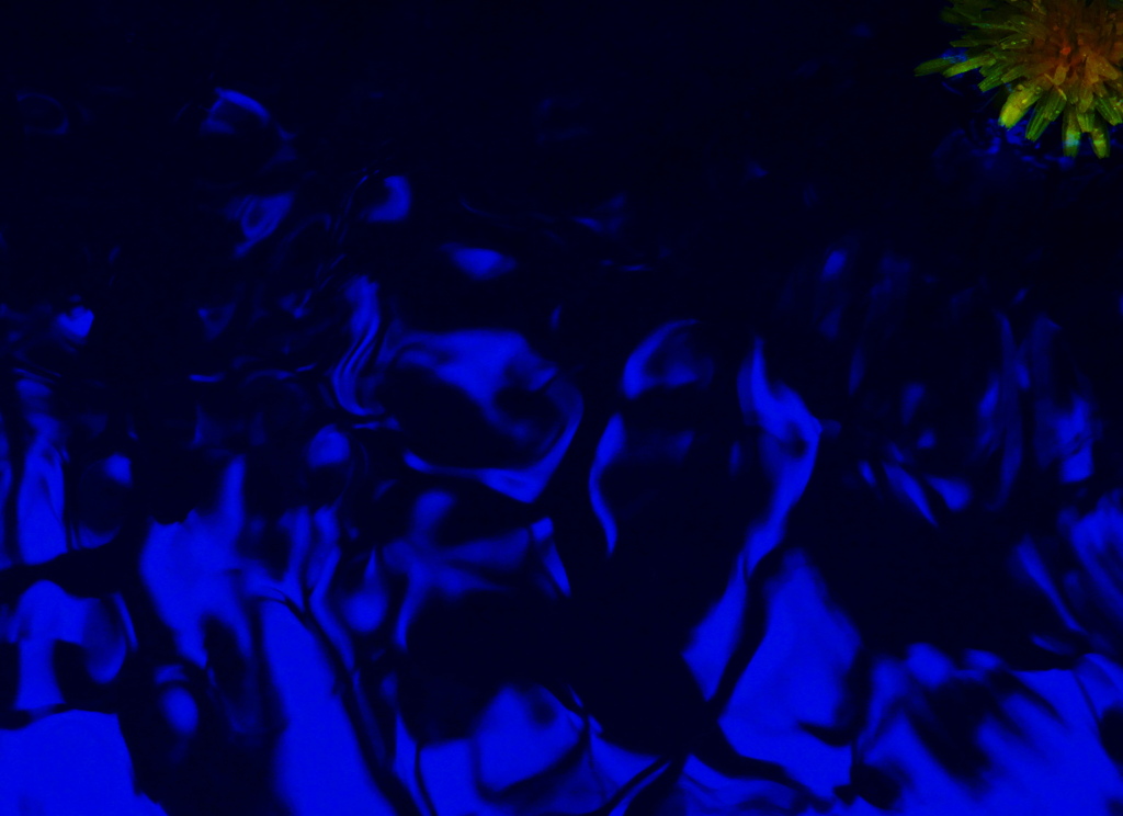 Blue　Shadow