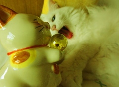 ねこのベロ　ながっ