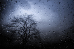 雨の日　車の中から2