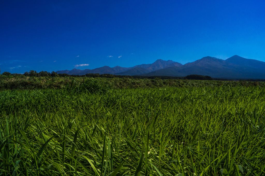草原と山