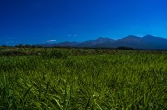草原と山