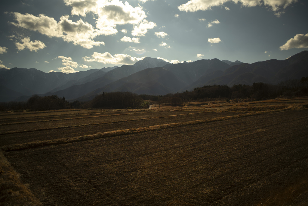 土