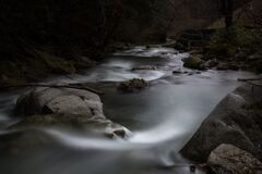 流れの中に