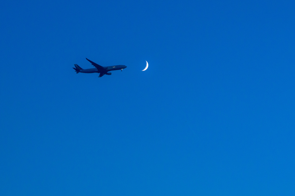 飛行機