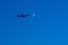飛行機