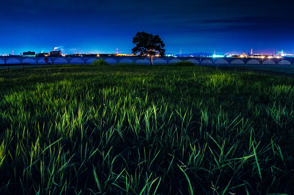 夜の臨海公園