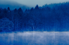 Frozen