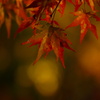 深秋