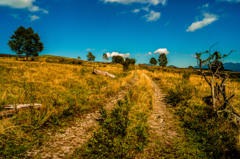 a ruta wheel track