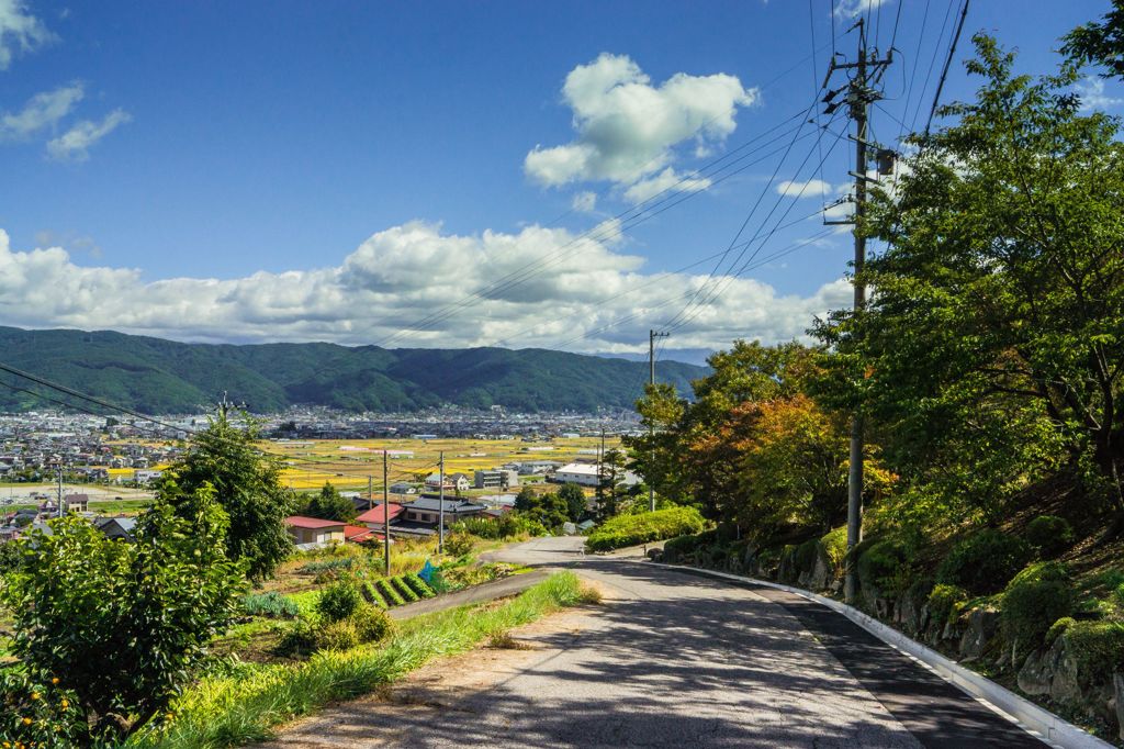 この坂を下って行けば