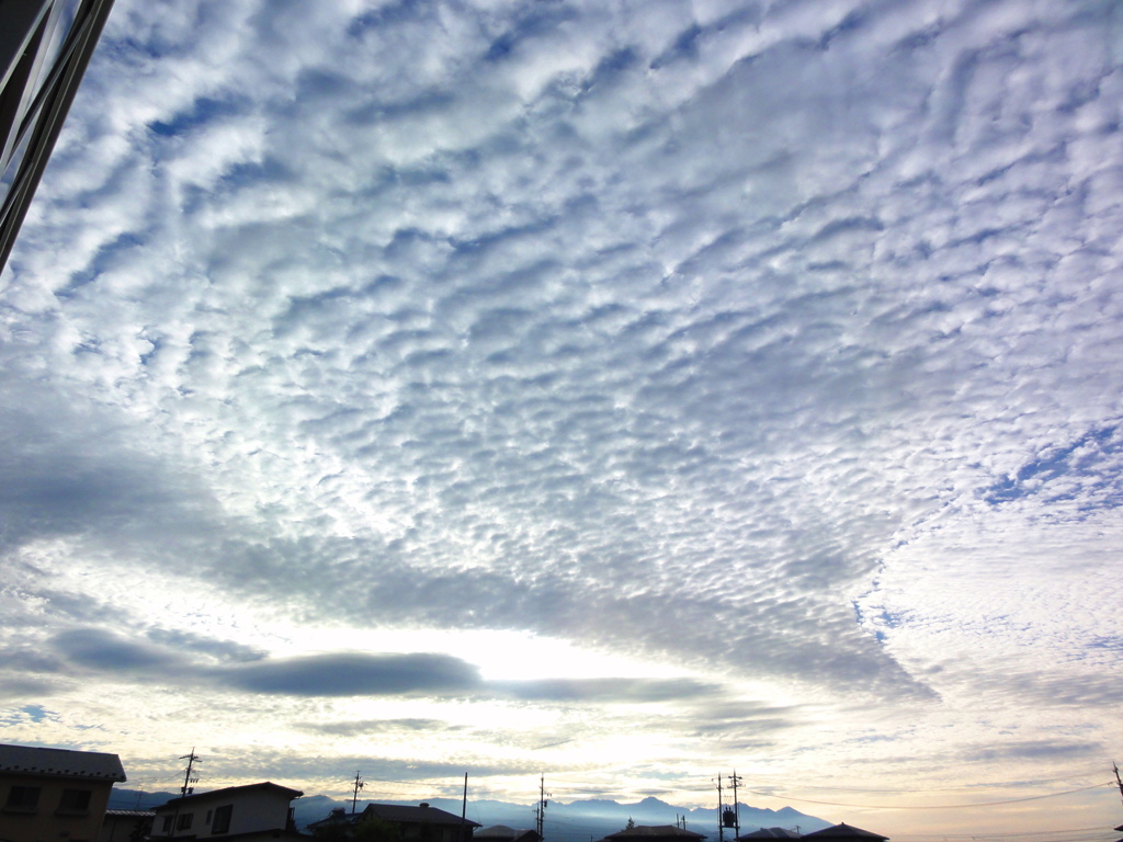 今朝の雲