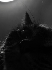 怖い話でもしようか