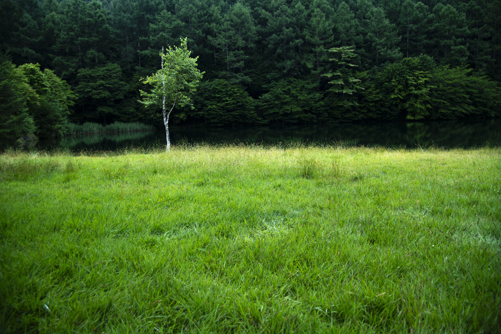 印象的な風景