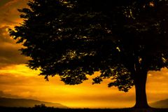 さよならの時間