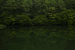 泉