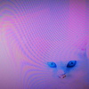 キャッツ・アイ 