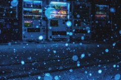 雪が降る