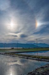 田んぼと空