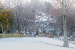 冬の散歩